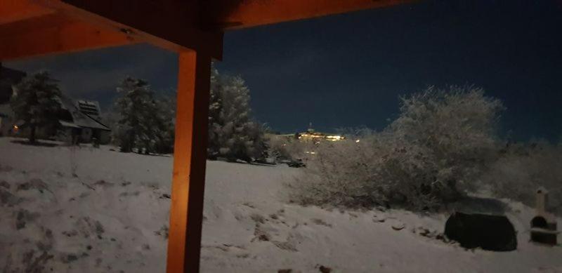 Holzblockhaus Magdalena Villa Altenberg Eksteriør bilde